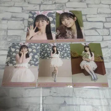 노기자카46 이치노세 미쿠 브로마이드 할로윈 2025 개별 5장