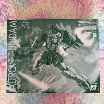 MG 1/100 알트론 건담 EW