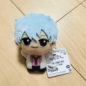 3학년 Z반 긴파치 선생님 SD 인형 사카타 긴파치 봉제 인형