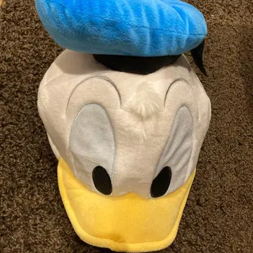 디즈니 팬캡 도날드