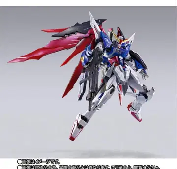 메탈빌드 데스티니 건담 (풀 패키지) FESTIVAL 2024