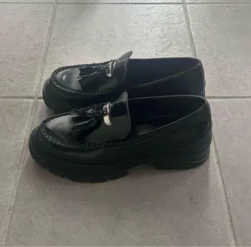 유리꽃님 한정판