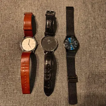 스카겐 외 3종 세트