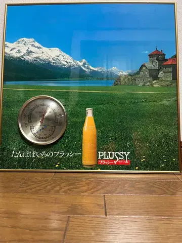 PLUSSY 습도 온도계 부착 패널