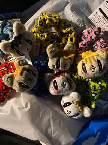 제 고양이 GENERATIONS 스크런치 6종 세트 컴플리트