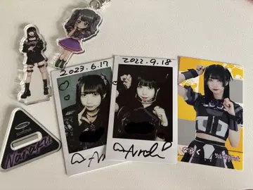 슈뢰딩거의 개 묶음 판매