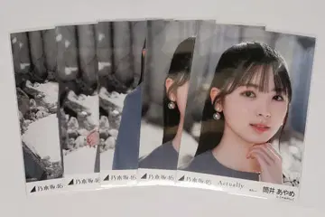 츠츠이 아야메 브로마이드 actually 선발ver. 5종 세트