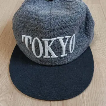 BSC29TOKYO 자수 TNc 히코리 한국 캡