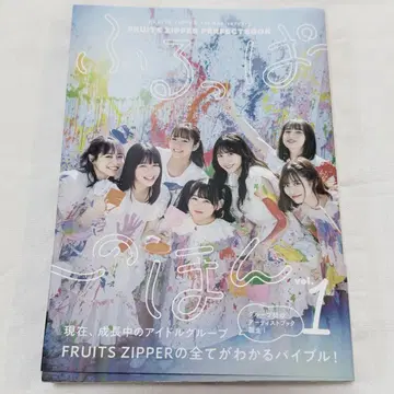 후루파의 책 vol.1 FRUITS ZIPPER
