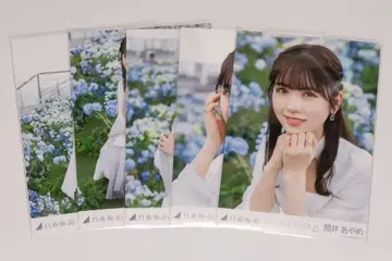 츠츠이 아야메 브로마이드 여기에는 없는 것 선발ver. 5종 세트