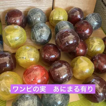 원피스 열매 애니멀 아리 묶음 판매