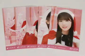 츠츠이 아야메 브로마이드 크리스마스 2023 5종 세트