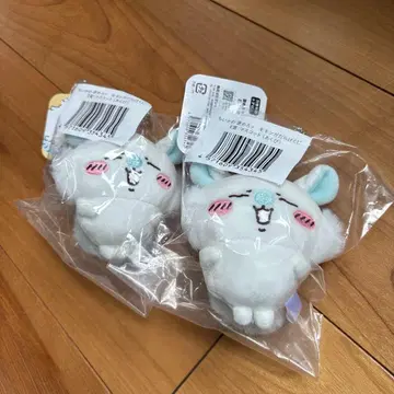 치이카와 모몽가 제일복권