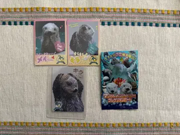 도바 수족관 컬렉션 카드 키라 메이 레어 노멀