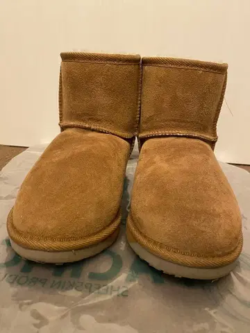 새상품급 베이지 스웨이드 숏부츠