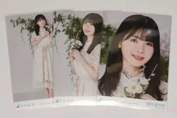 츠츠이 아야메 브로마이드 2022 lucky bag 3종 세트