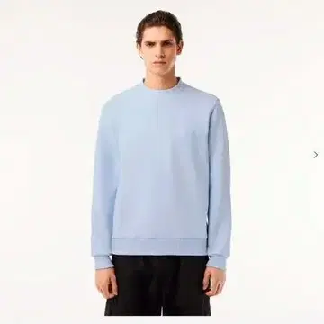 LACOSTE 네임 자카드 모크넥 맨투맨 S 라이트 블루 새상품