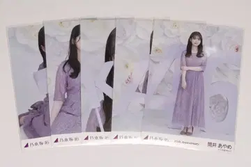 츠츠이 아야메 브로마이드 10th anniversary 5종 세트