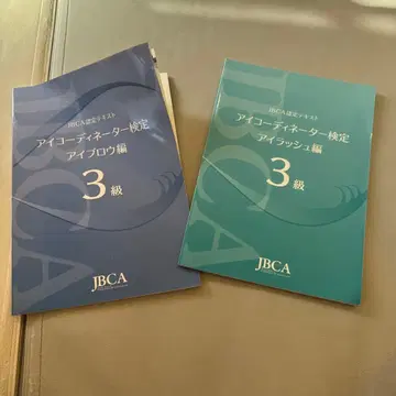 아이 코디네이터 검정 아이래쉬 편 아이브로우 편