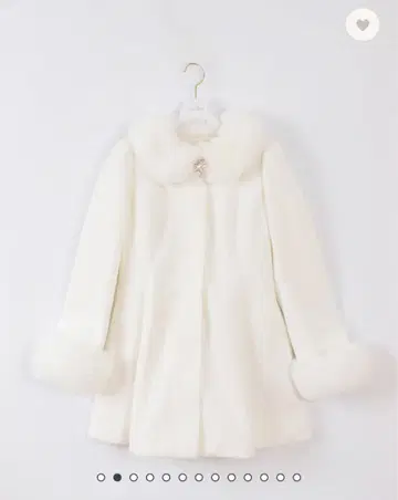 evelyn 에블린 오리지널 비쥬 코트 2024