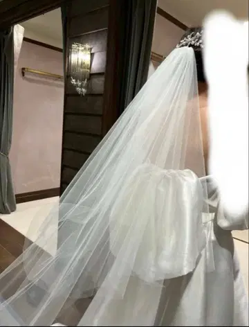 트리트 드레싱 베일 80 x 250 개더 있음