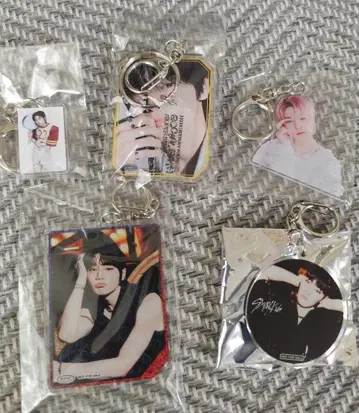 Stray kids 아이엔 키링