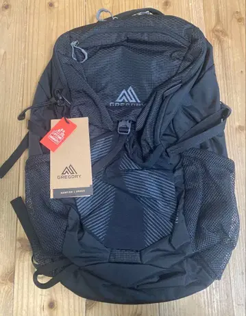 GREGORY NANO 24L 블랙