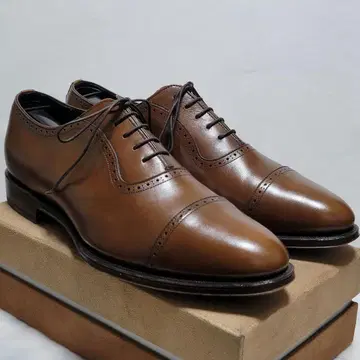 셰틀랜드 폭스 쿼터 브로그