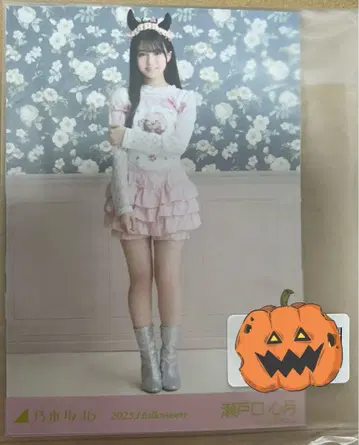 노기자카46 세토구치 신게츠 할로윈 5종 컴프