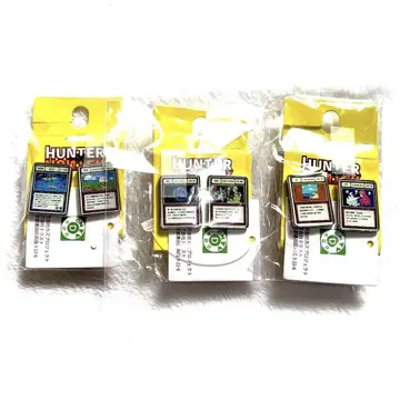 HUNTER x HUNTER 헌터헌터 핀즈 세트