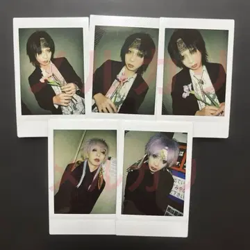 란즈 교 씨 폴라로이드 모음 3