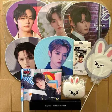 StrayKids 스키즈 리노 부채 태피스트리 모음