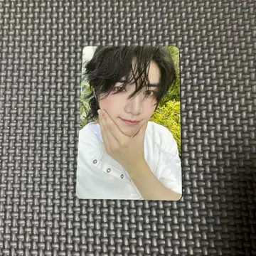 txt 팝업 포토 카드 범규