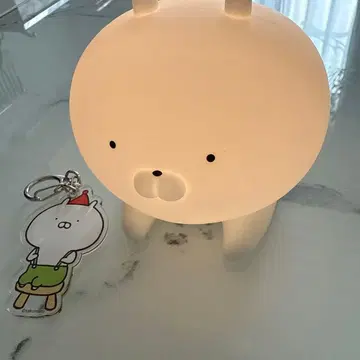 [ 새상품급 ] 우사마루 오헤야 라이트 타카라지마샤