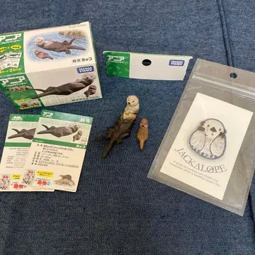 아니아 랏코 피규어, 브로치