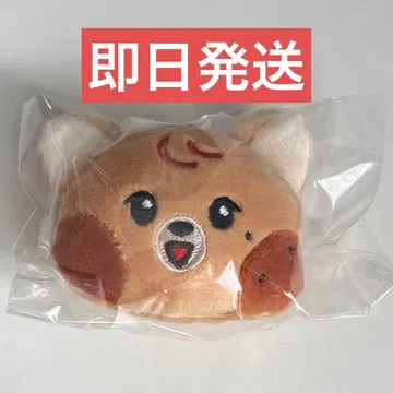 Dreamiez 랜덤 배지 해찬 jjoppo 쪼푸 쵸프