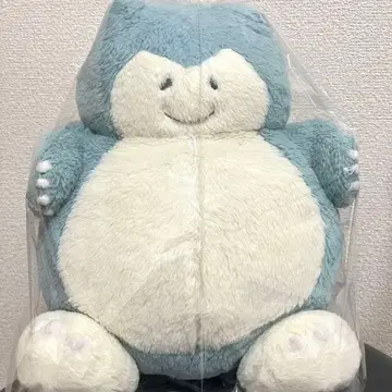 카비곤 리포트 써줘 봉제 인형 포켓몬 센터 에치가와 노리유키