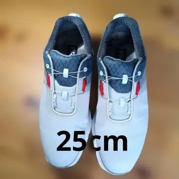 FJ PRO/SL 골프화 BOA 시스템