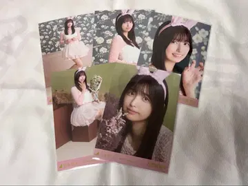 노기자카46 이오키 마오 브로마이드 할로윈 2025 개별 5장