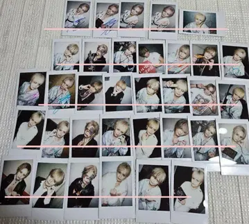 레이[Hz] Leo 폴라로이드