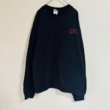 USA GILDAN 디즈니풍 로고 라메 프린트 맨투맨