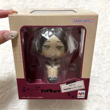 하이큐 카쿠나 린타로 룩업