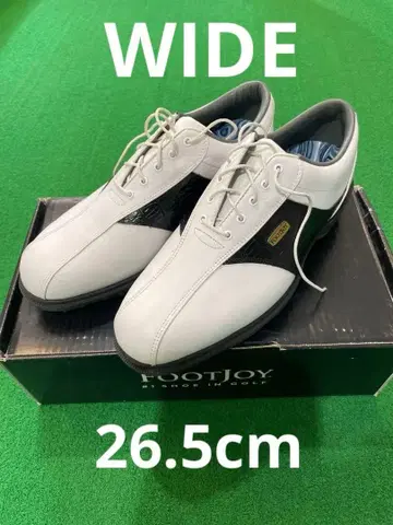 FootJoy 익스플로러 골프화