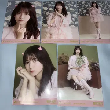 노기자카46 스가와라 사츠키 브로마이드 할로윈 2025 개별 5장