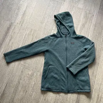 파타고니아 후드티