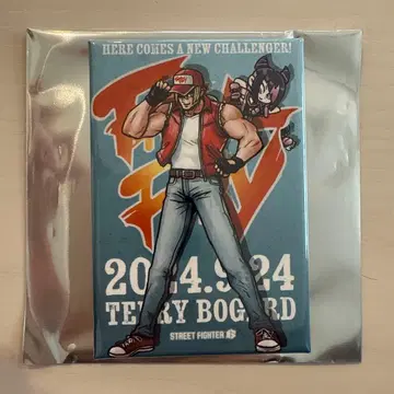 스트리트 파이터 6 마그넷 줄리 테리 힘내라 줄리 sf6