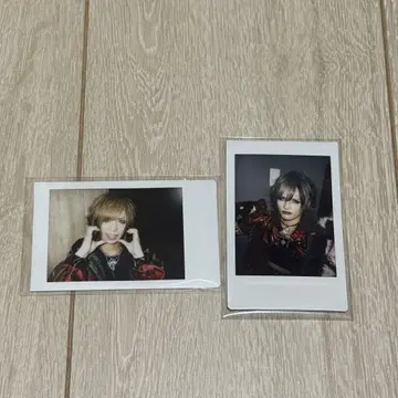 Royz 폴라로이드