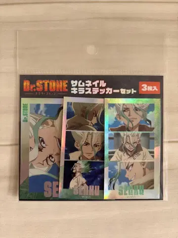 Dr.STONE 썸네일 키라 스티커 세트 이시가미 센쿠