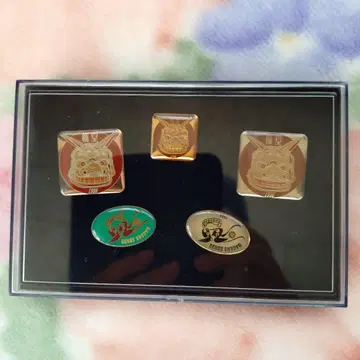 나가노 올림픽 핀 배지 세트 곤도 4개 미사용 새상품