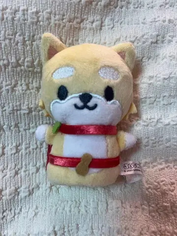 JO1 마메하라 잇세이 마메치이 JOCHUM 손가락 인형